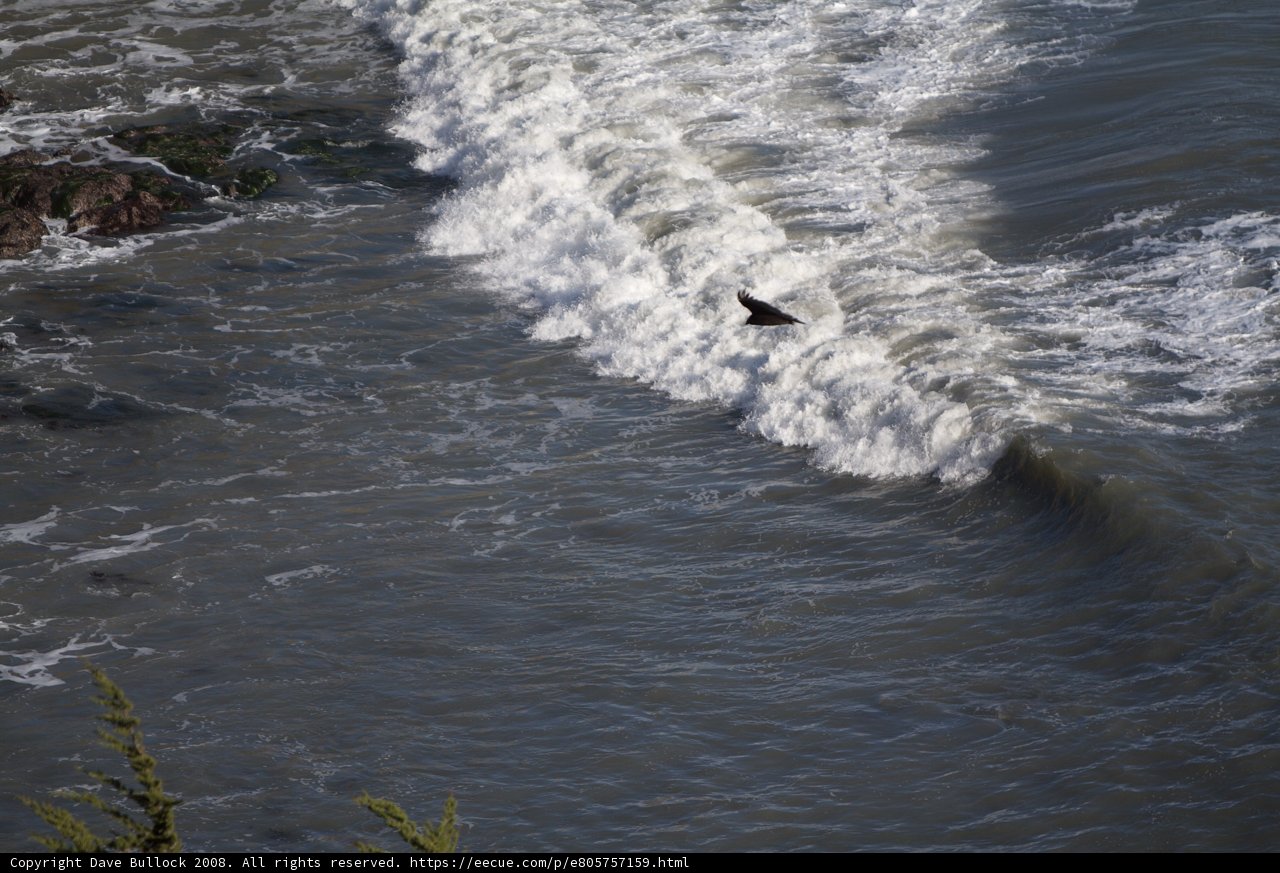 Soaring over the Sea
