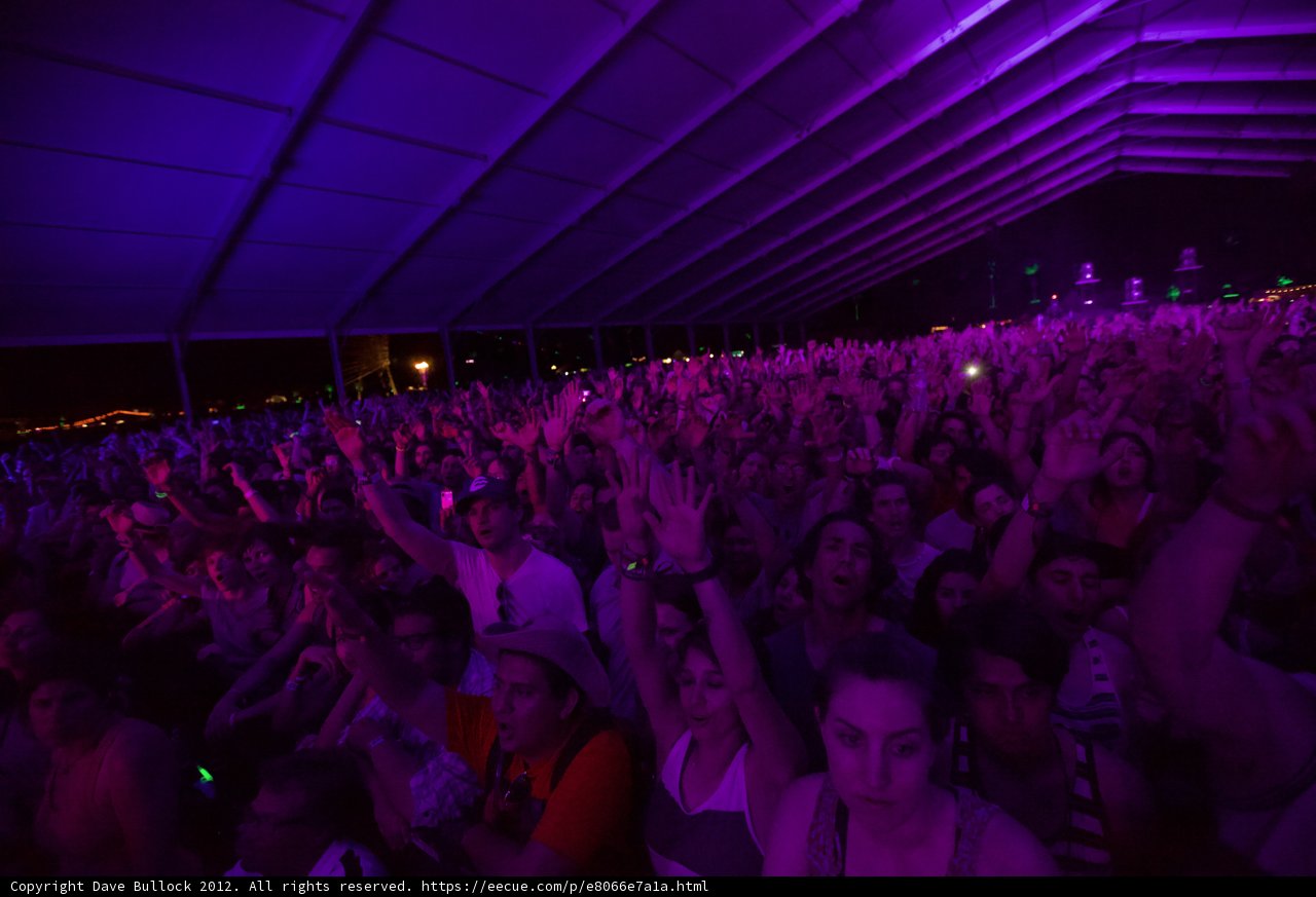 Electric Crowd