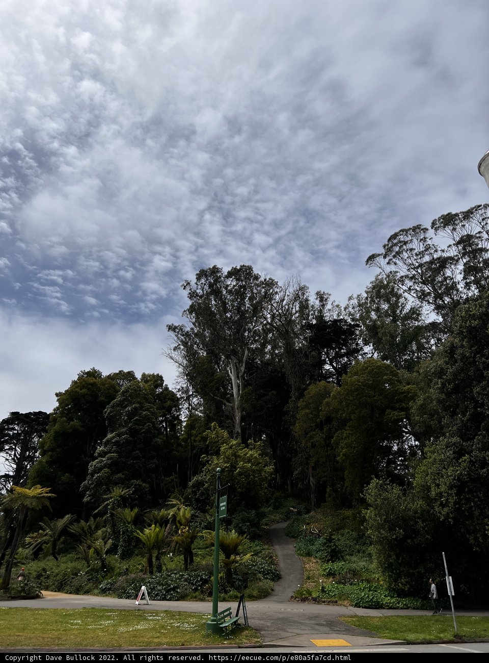 Serene Sky and Lush Greenery from atop a Hill