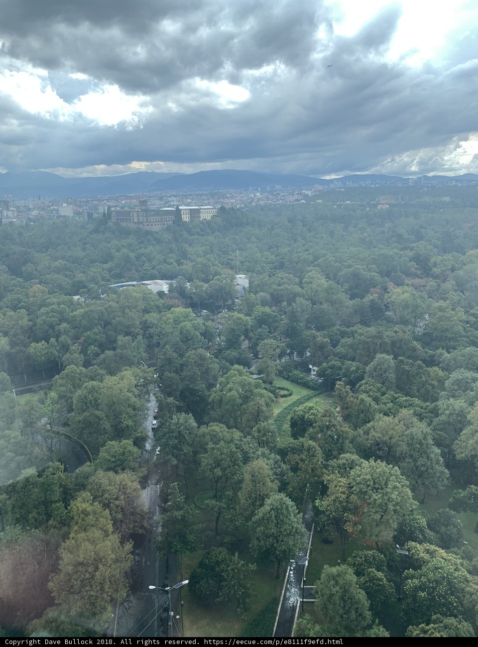 Above the Cityscape