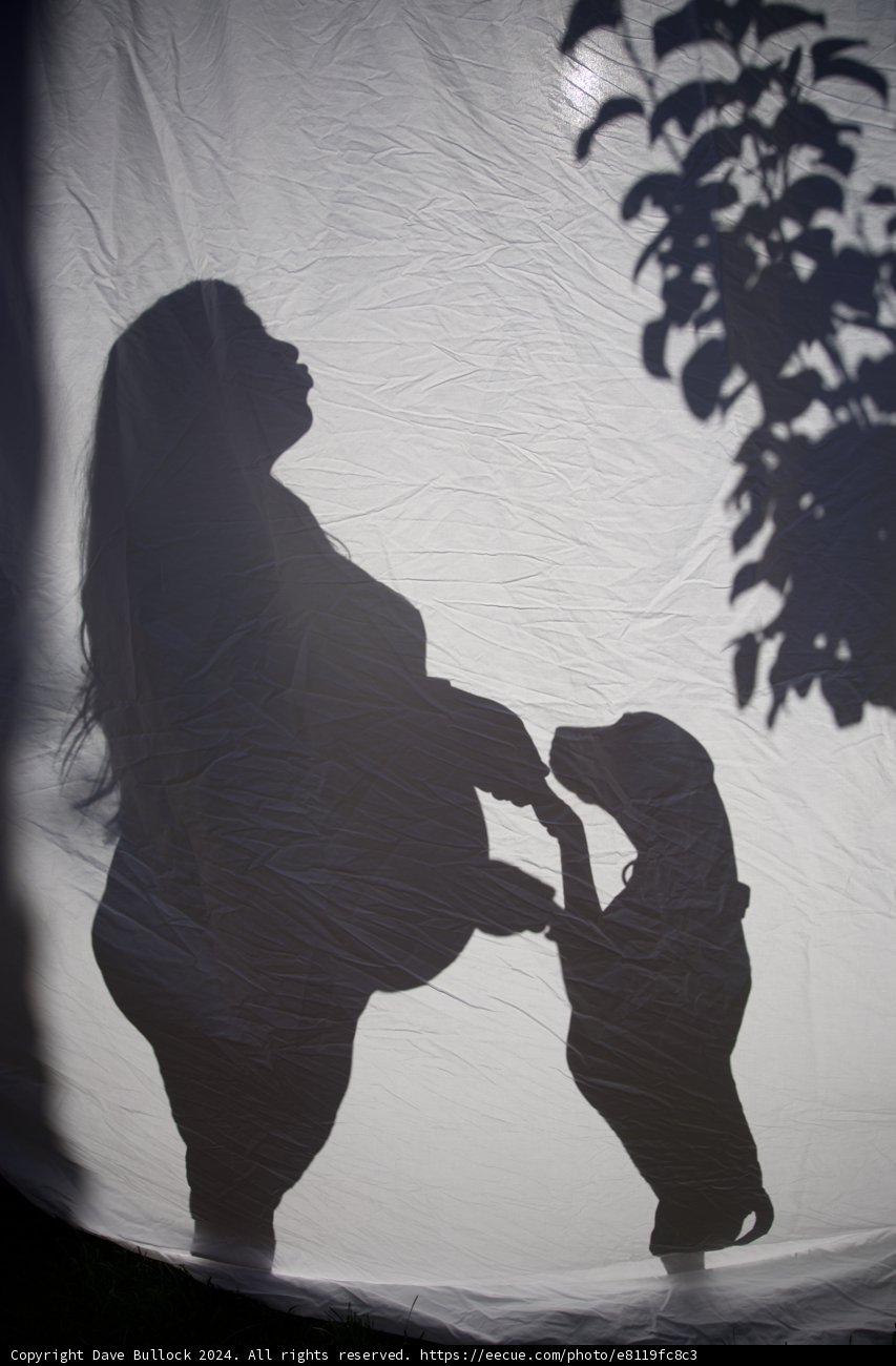 Shadows of New Beginnings