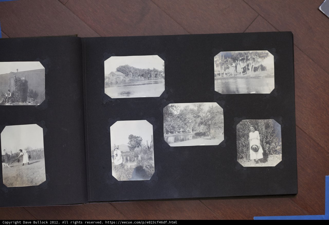 Curtis Family Memories Captured in Black and White