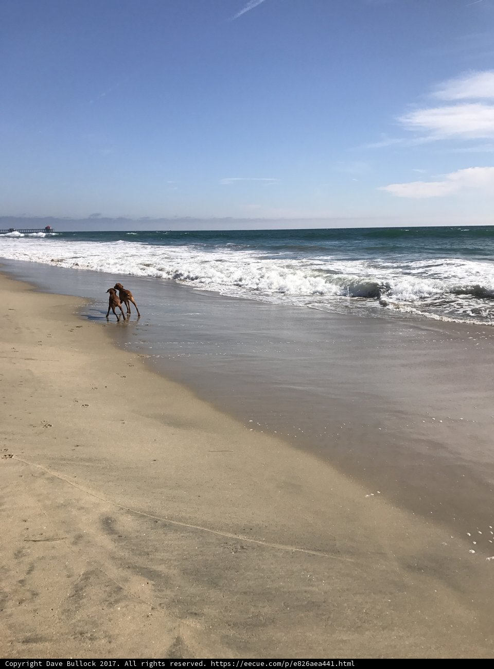 A Day in Paradise