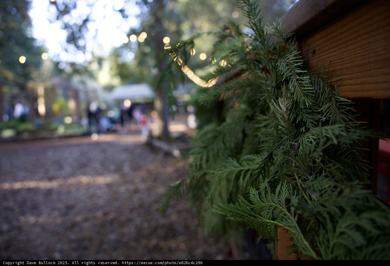 Enchanted Greenery