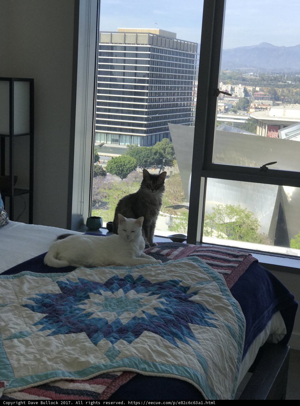 Cozy Manx Quilt Bed