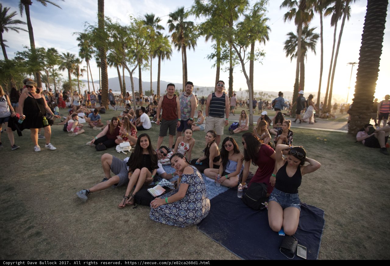 Summer Picnic in the Park