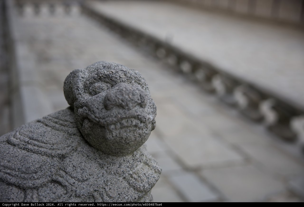 Guardian of the Stone Pathway: A Lion's Roar Encased in Stone