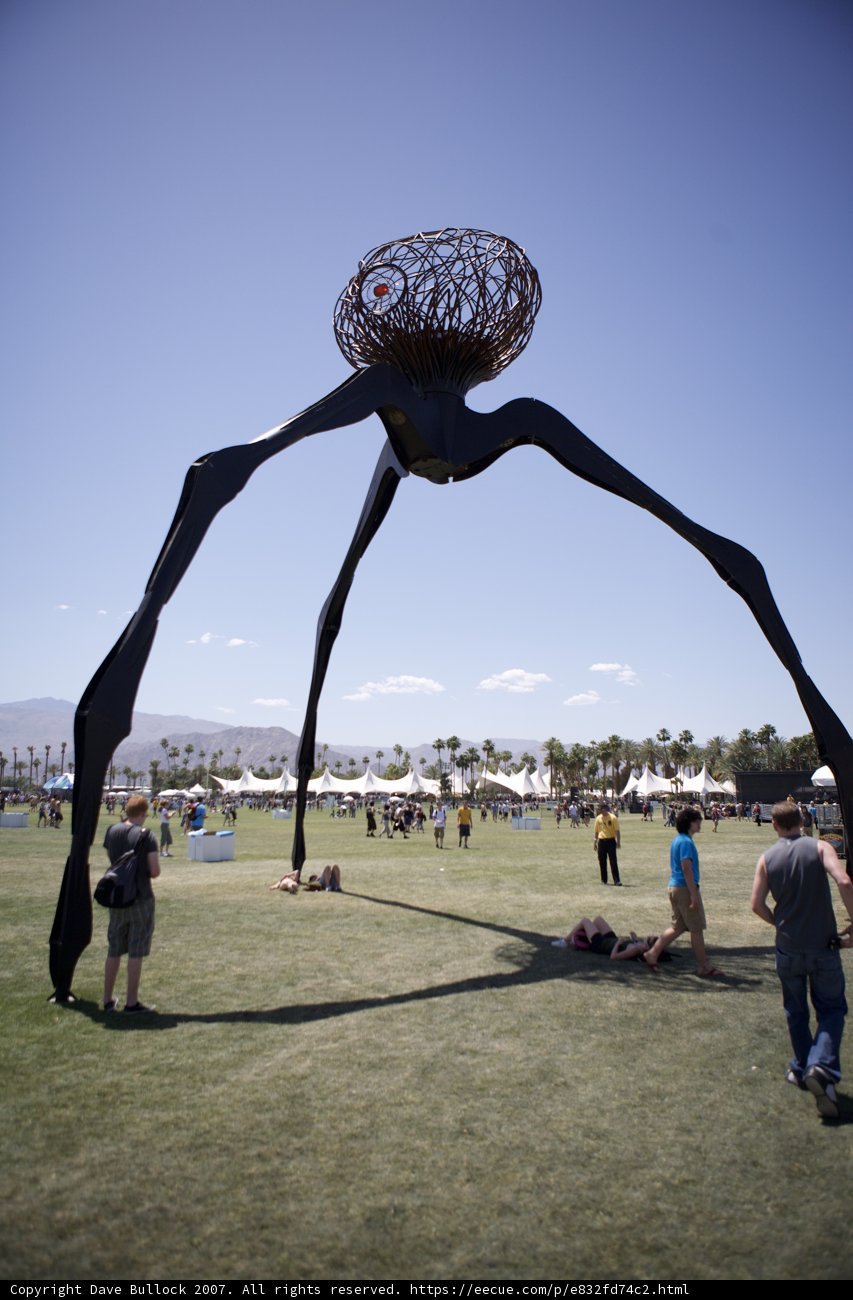 Arachnid in the Park