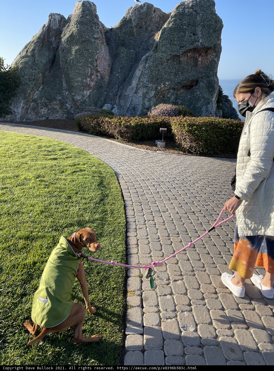A Leisurely Walk by the Cliffs