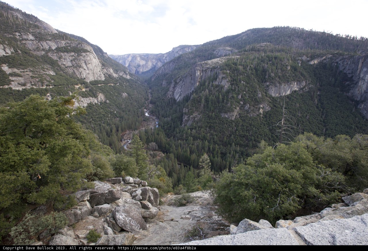 Serene Wilderness of Yosemite, 2023