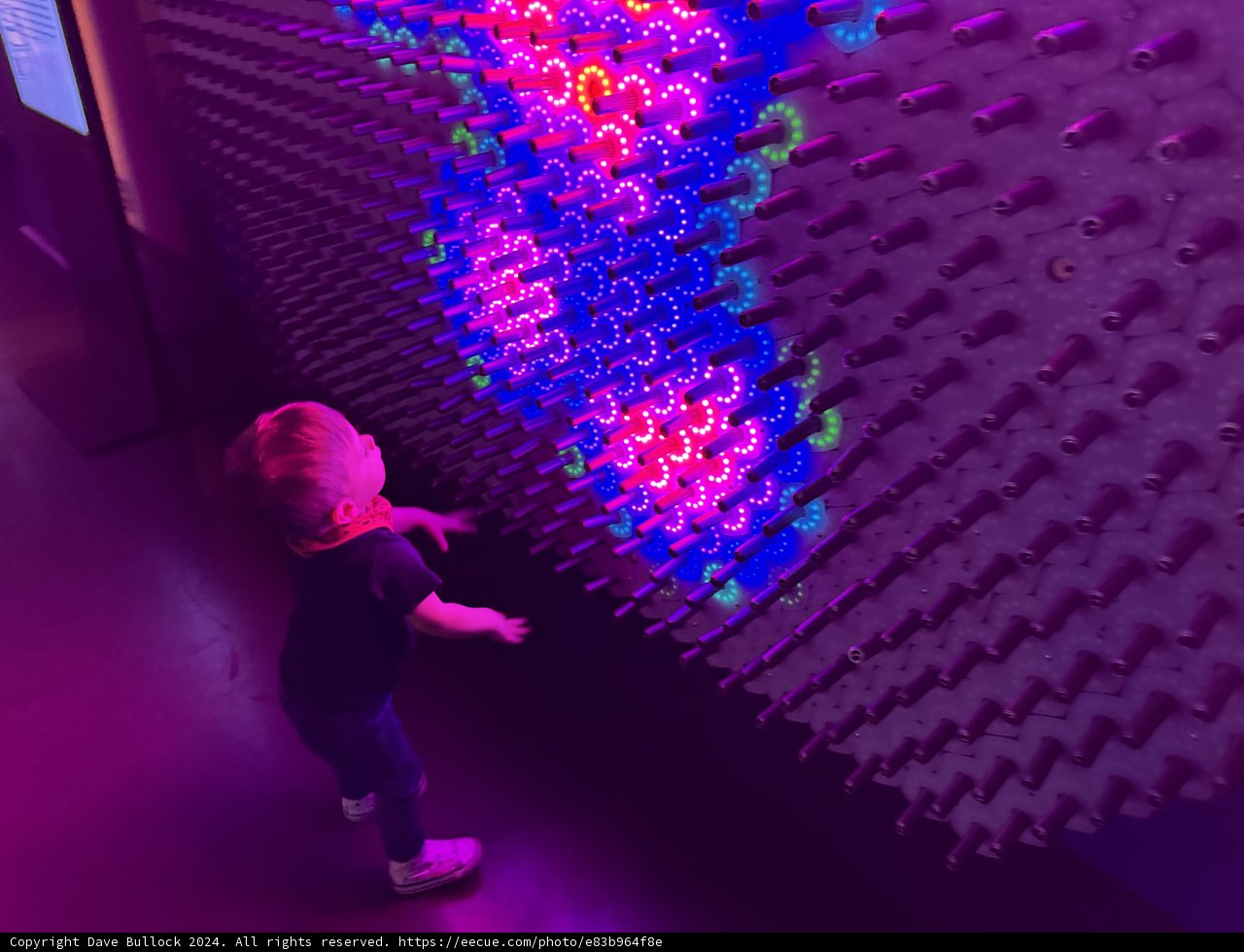 Illuminated Playtime