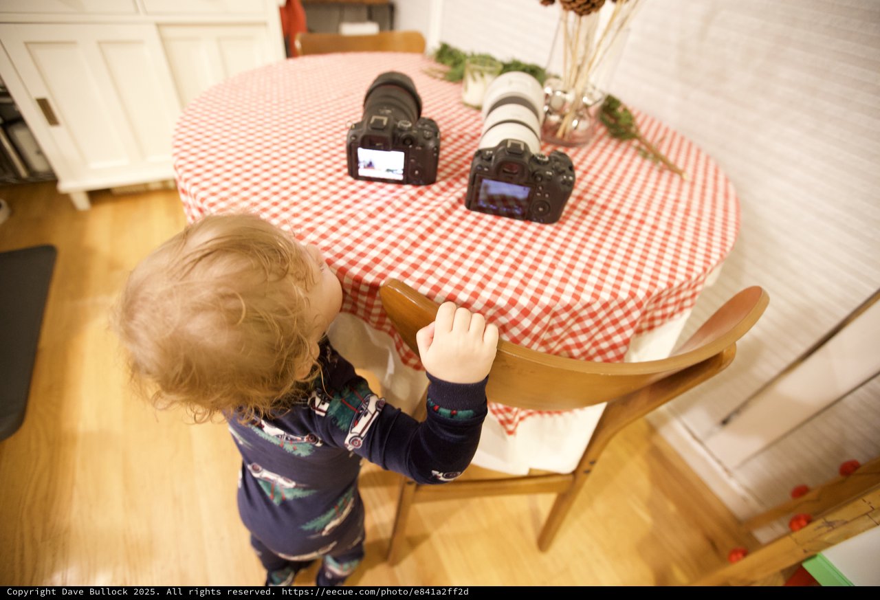 Toddler Reaching for Cameras on Christmas Morning