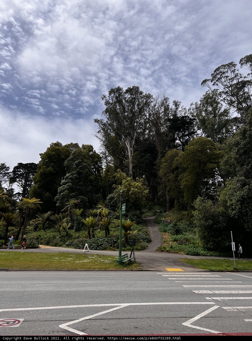 Nature Meets Urban
