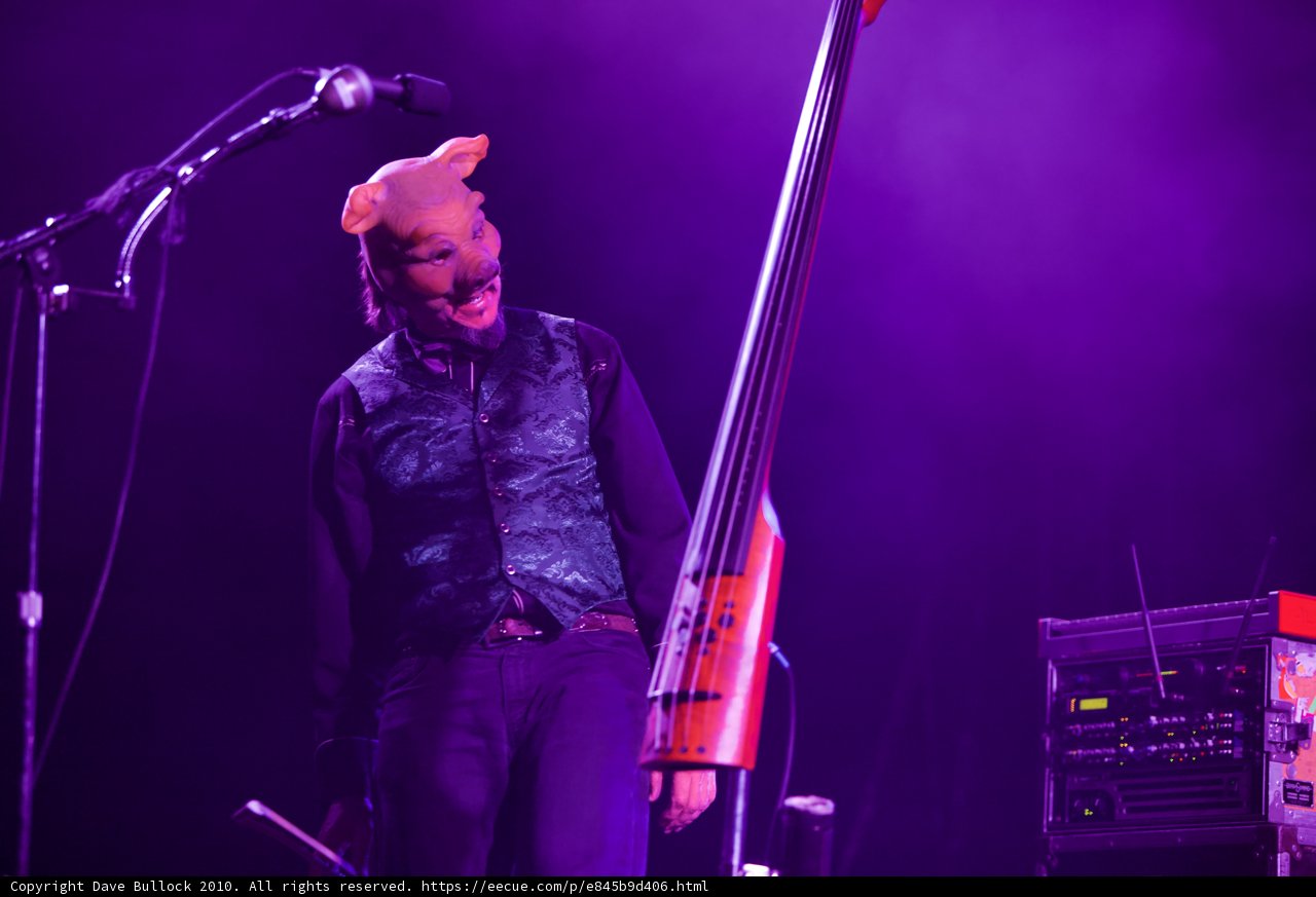 Pig-Headed Cellist Shreds the Stage at Coachella