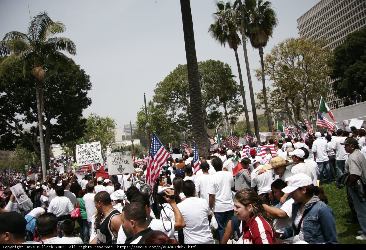 Patriotic Protest Parade