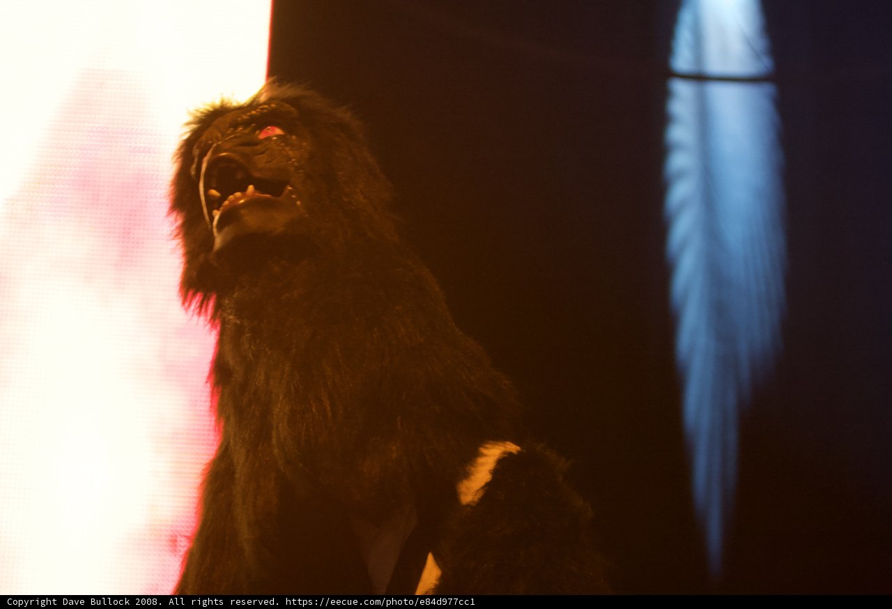Fierce Lion Stuffed Animal