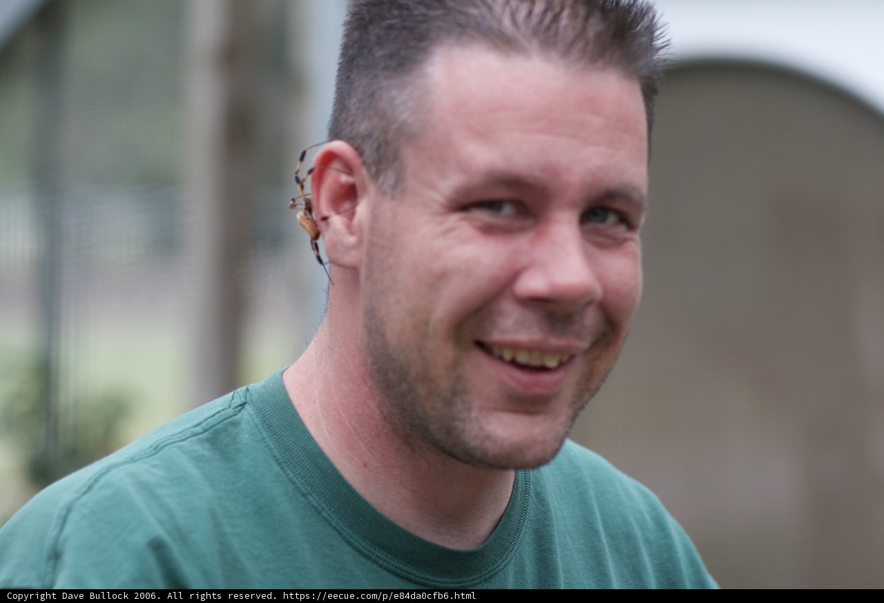 The Happy Man in Green