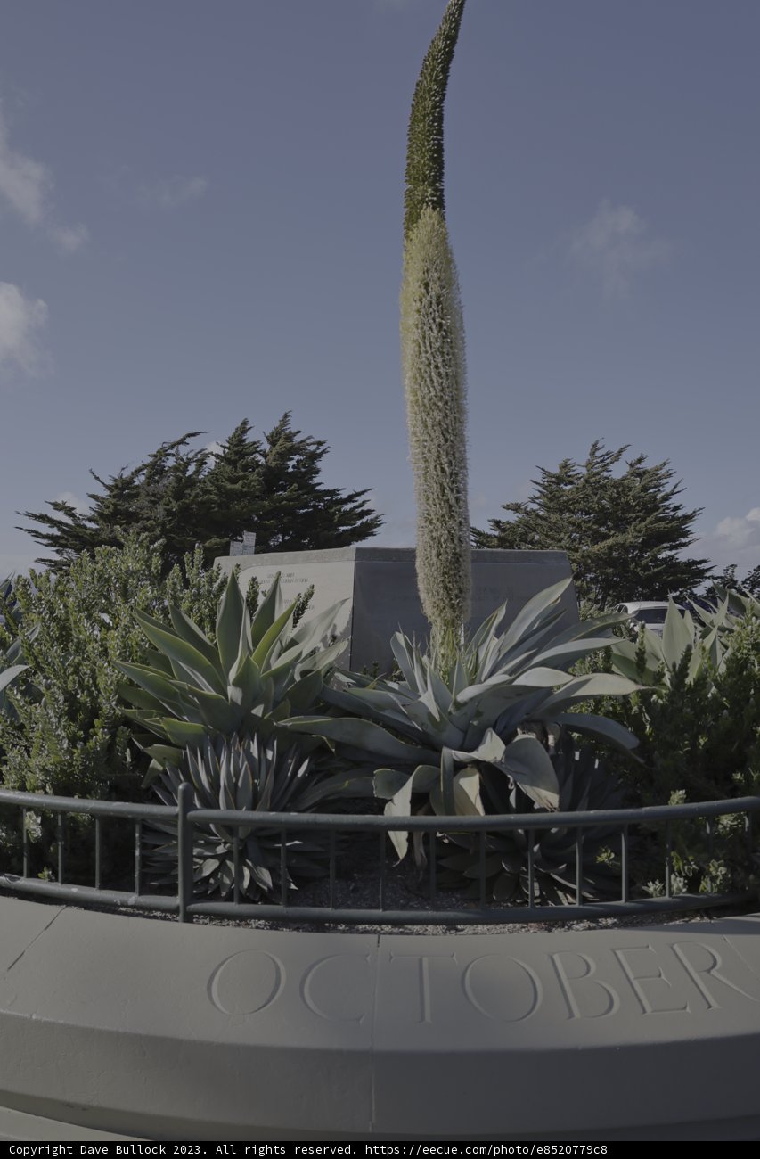 Towering Above