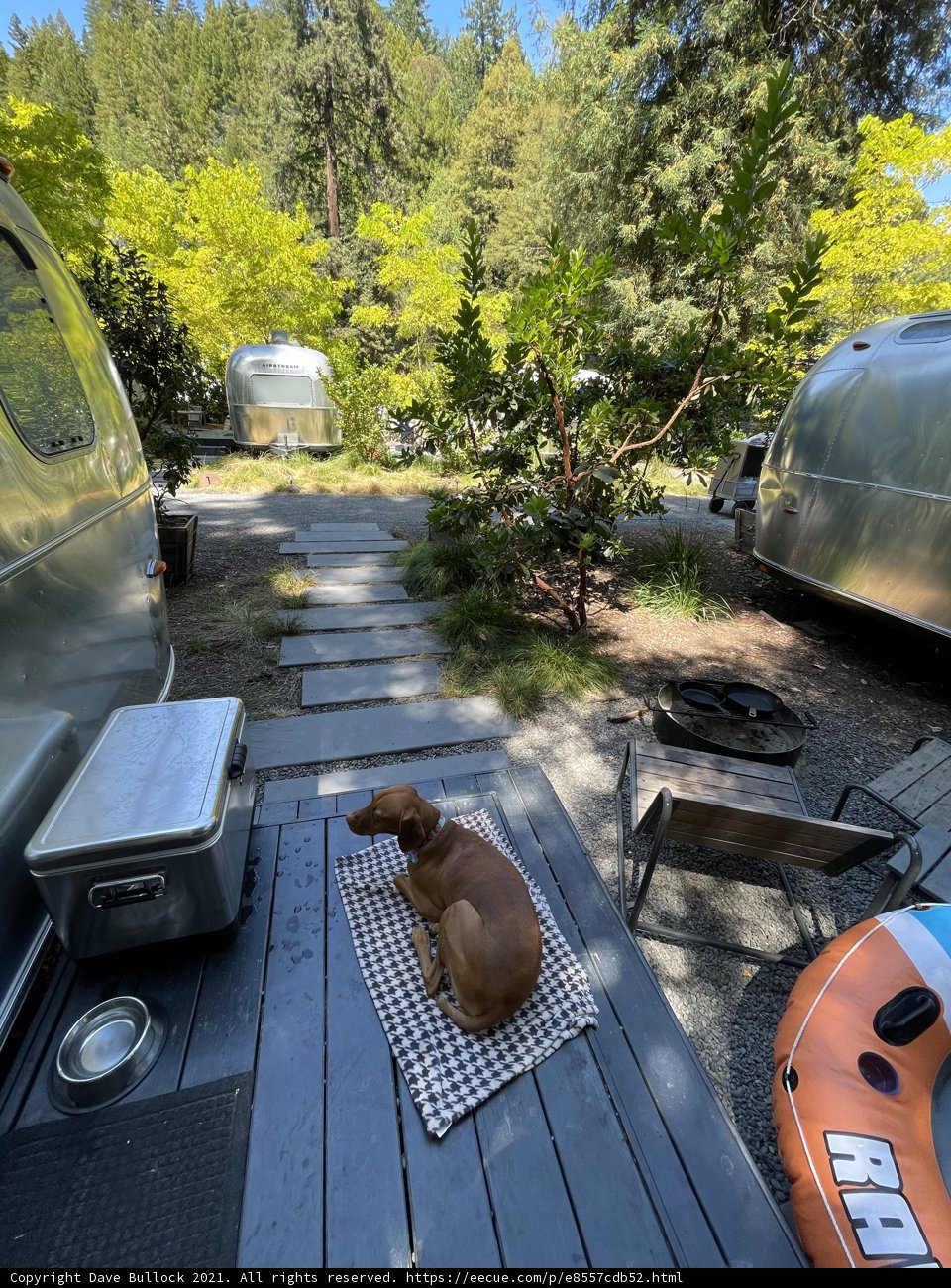 Lazy Days on the Deck
