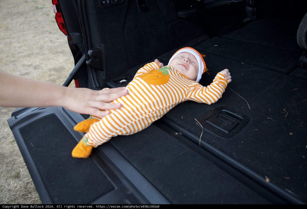 Little Pumpkin
