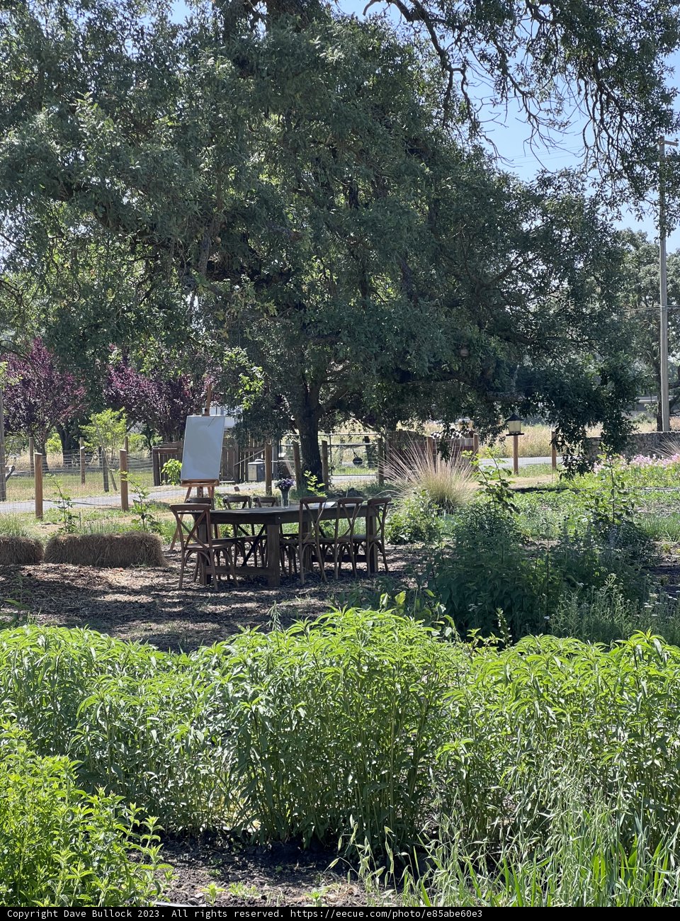Serenity in Sonoma