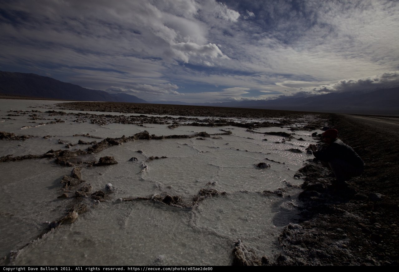 Standing Tall on the Salt Flat