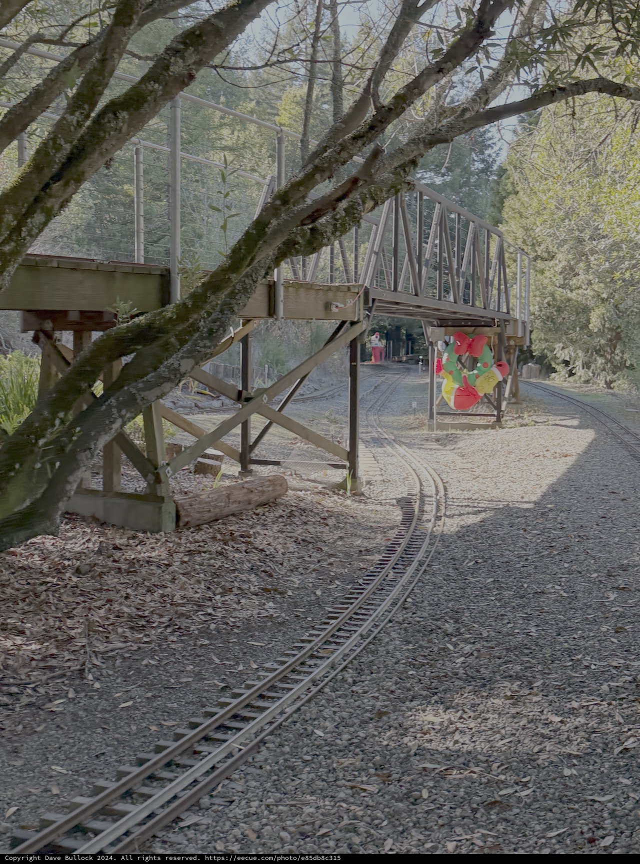 Miniature Railway Through Woodland Park Bridge