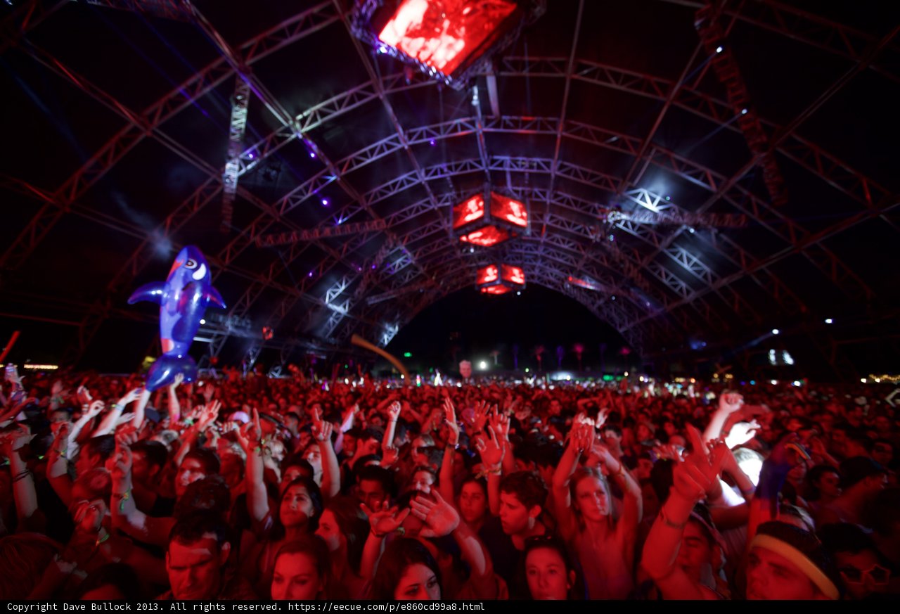 Hands Up in the Crowd