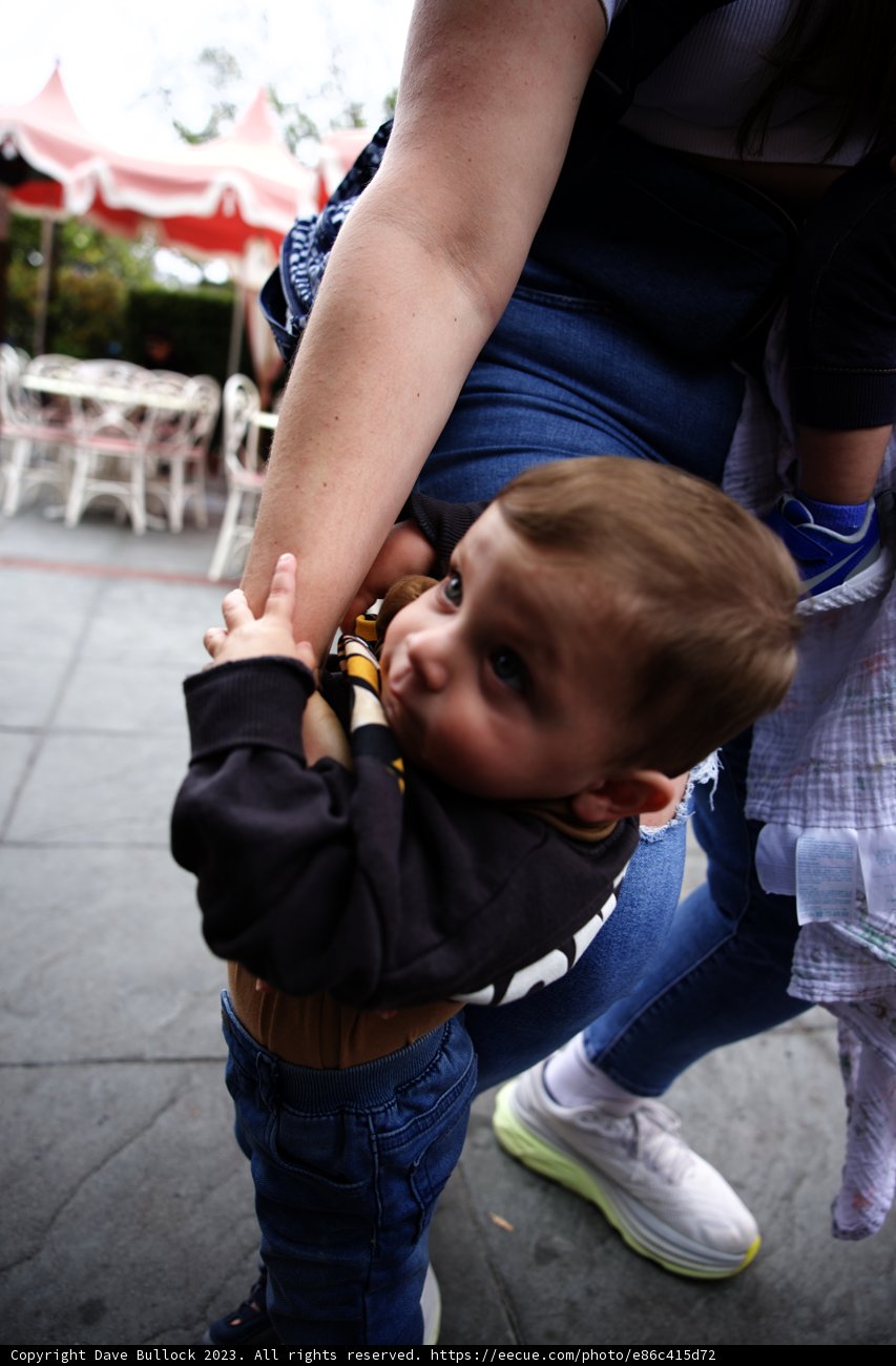 Magical Moments at Disneyland