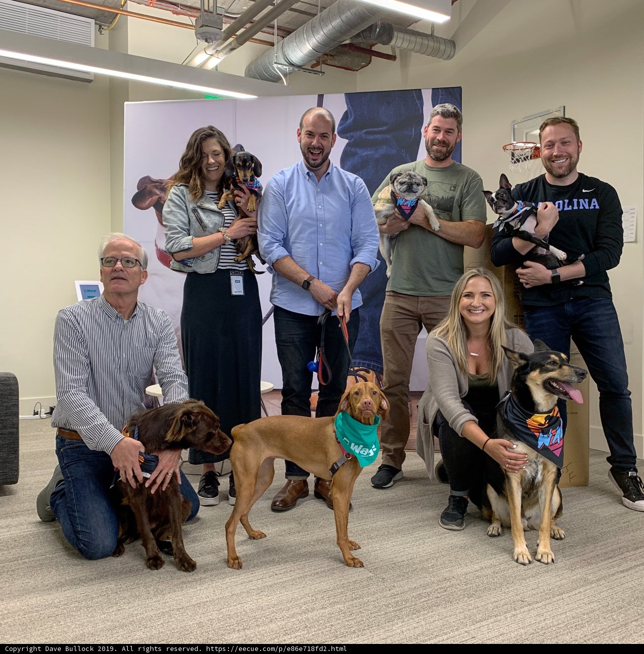 The Bark Squad