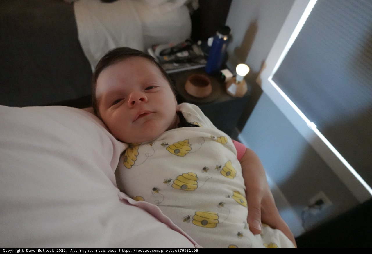 Newborn Baby Wesley in Bee-Patterned Swaddle