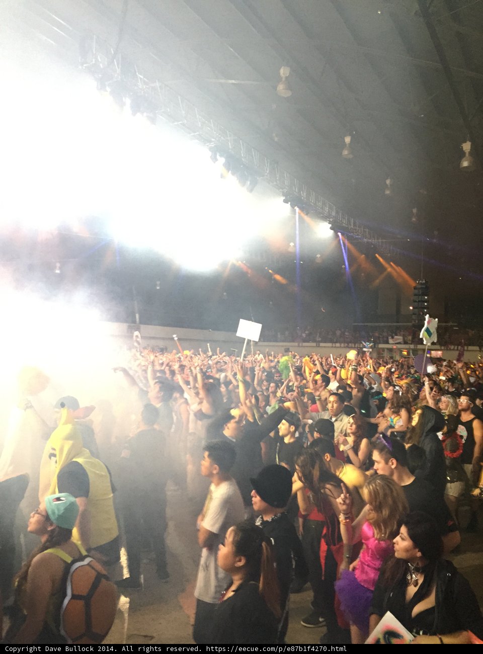 Smoke and Spotlights: A Nightclub Crowd