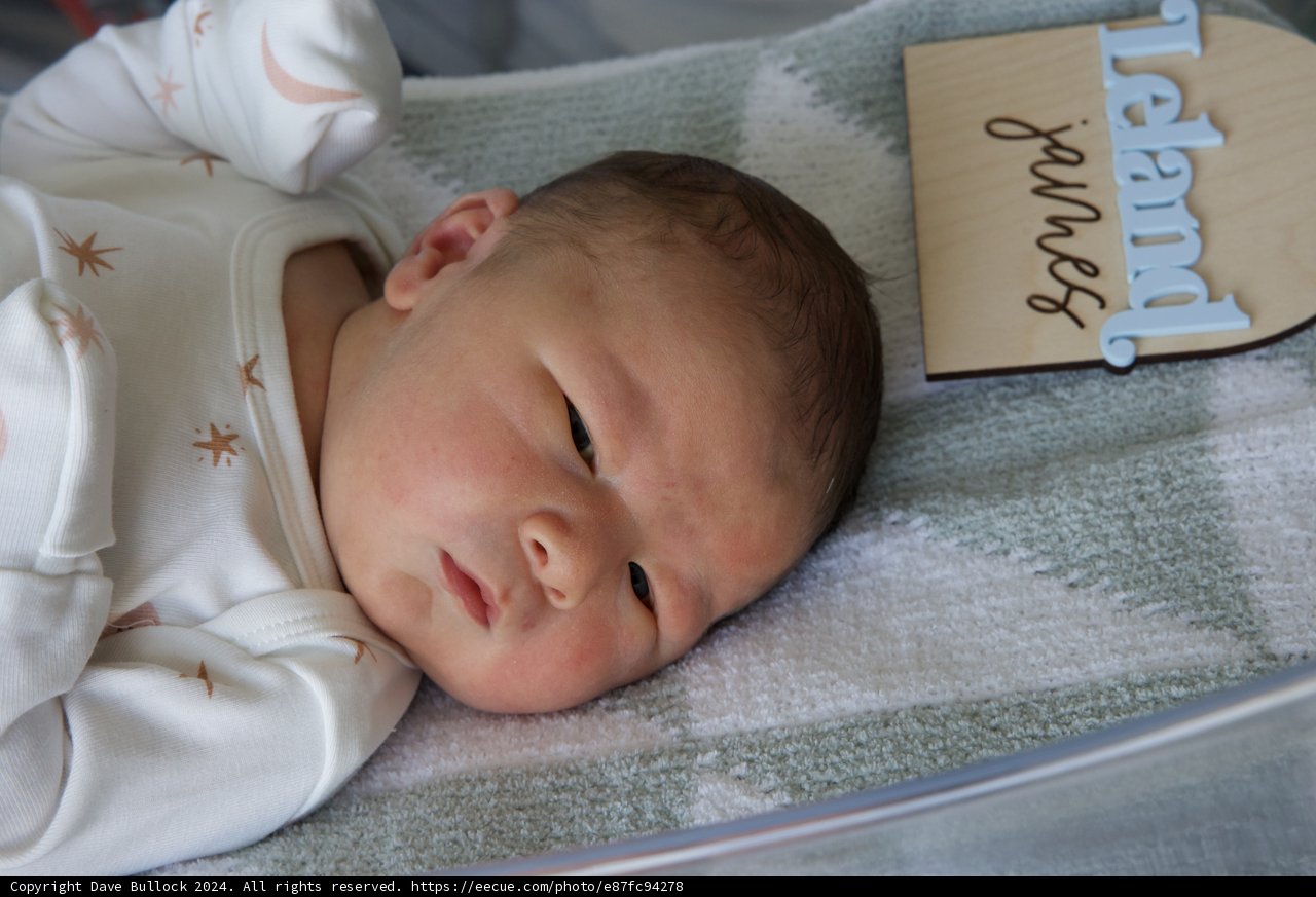 Welcome to the World, Leland