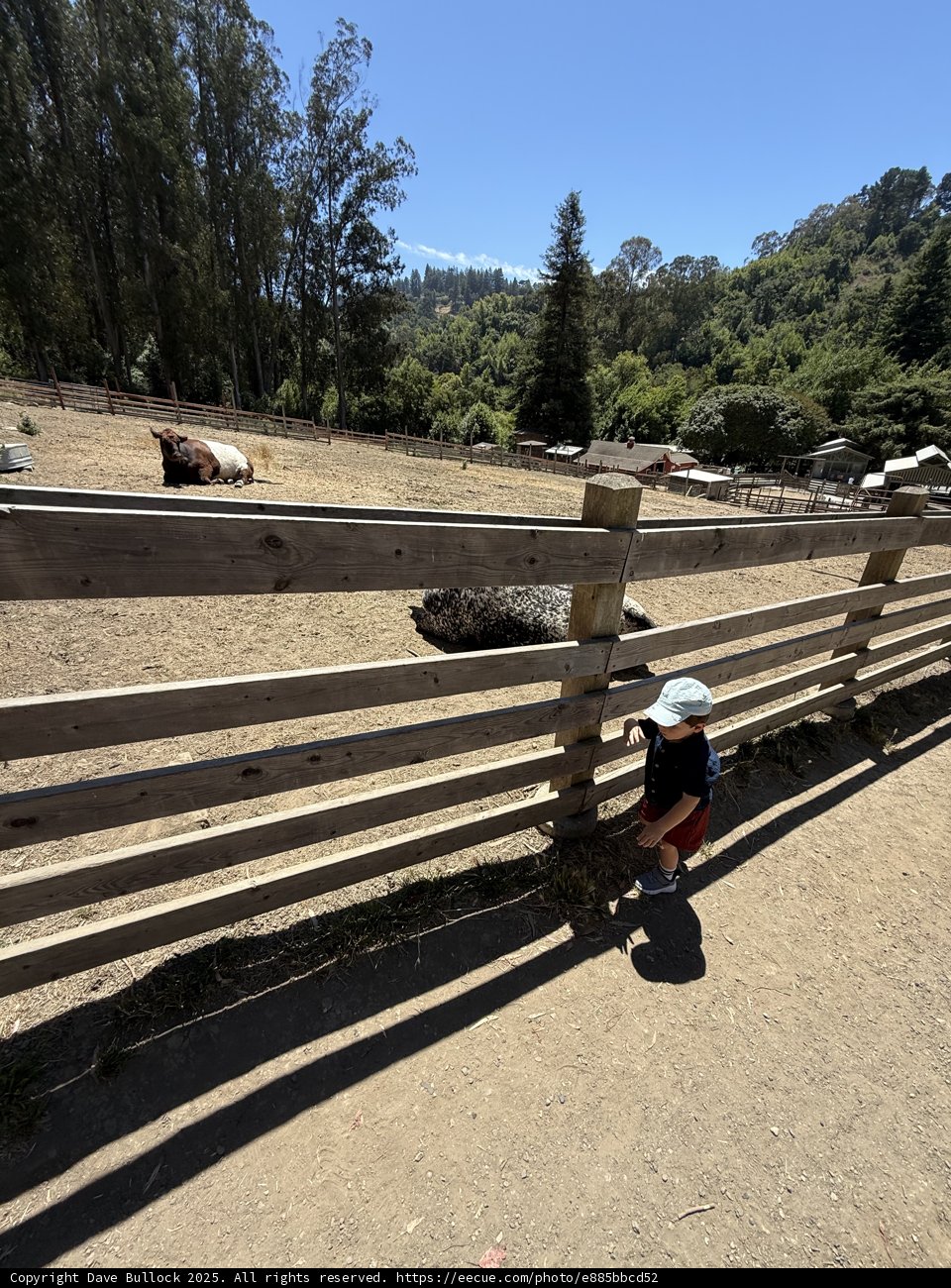 Curious Adventures at Tilden Nature Area