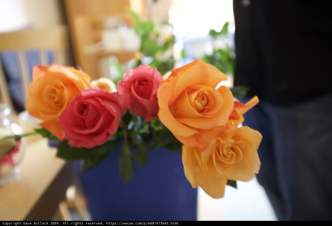 Beautiful Rose Flower Arrangement at the Hertz Wedding