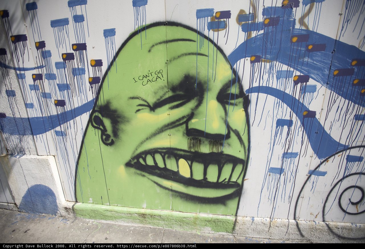 The Bold and Vibrant Face of Street Art