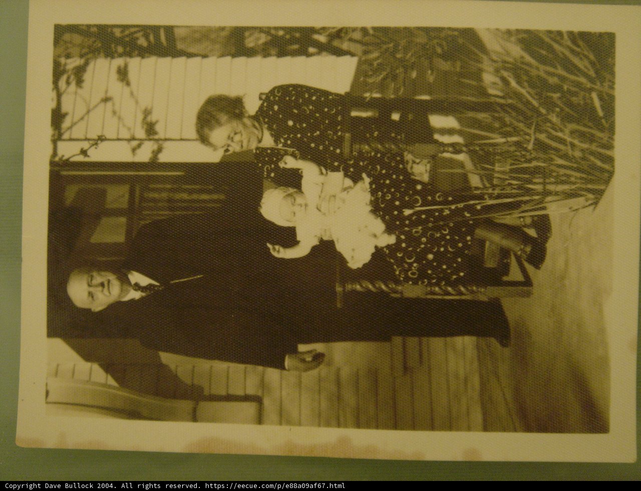 A Formal Portrait of a Family