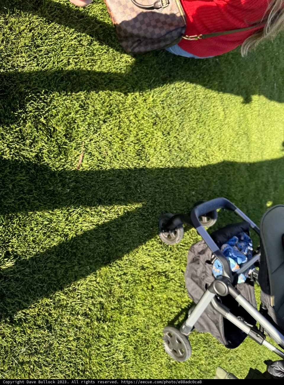 Mother and Child: A Moment in Nature