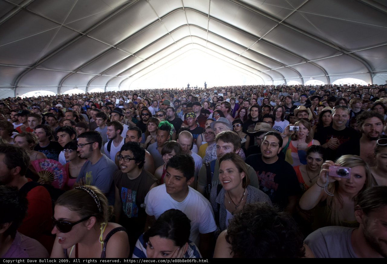 Coachella Crowd