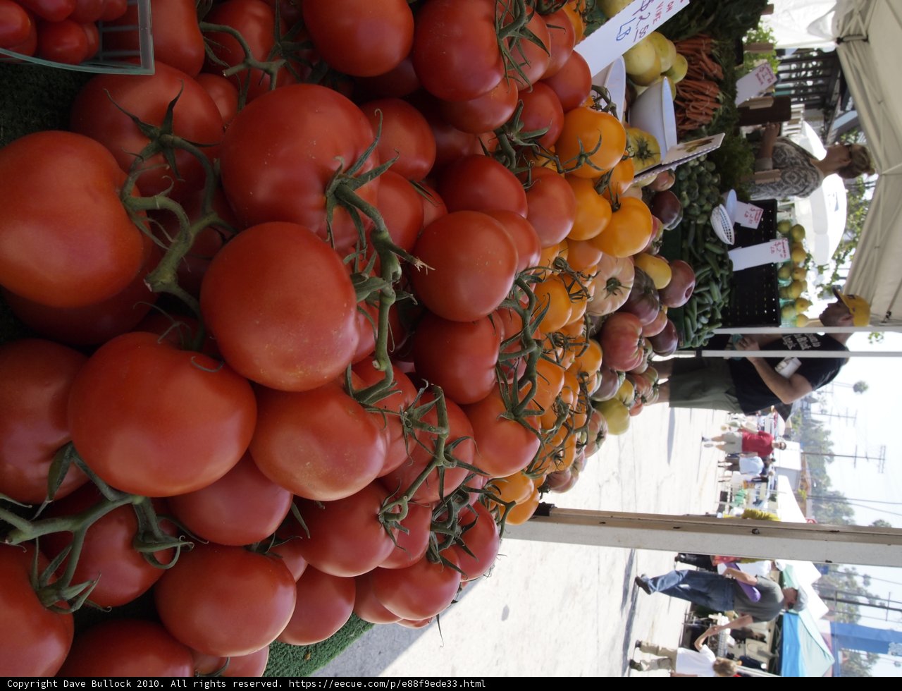Tomatoes at the Feet of Wedding Guests