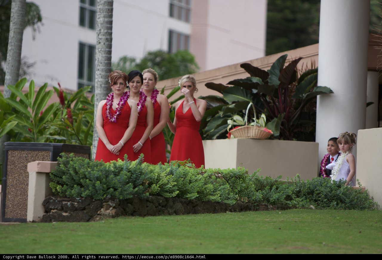 The Red Dress Brigade