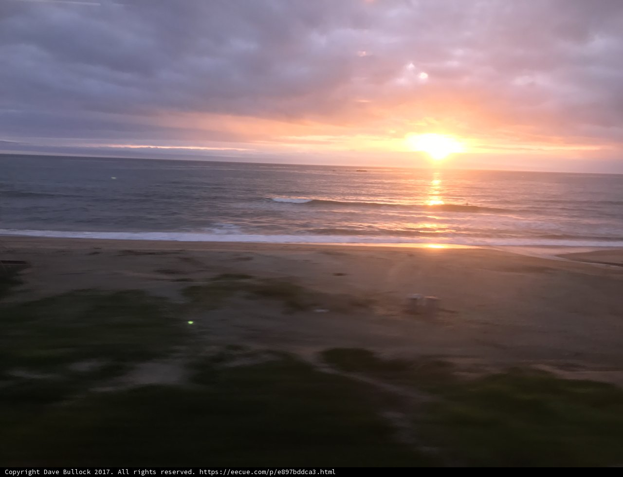 Sunkissed Horizon