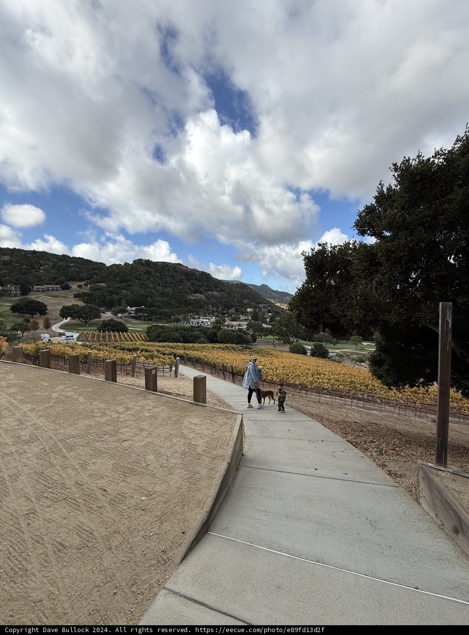 Strolling Through Autumn Vines