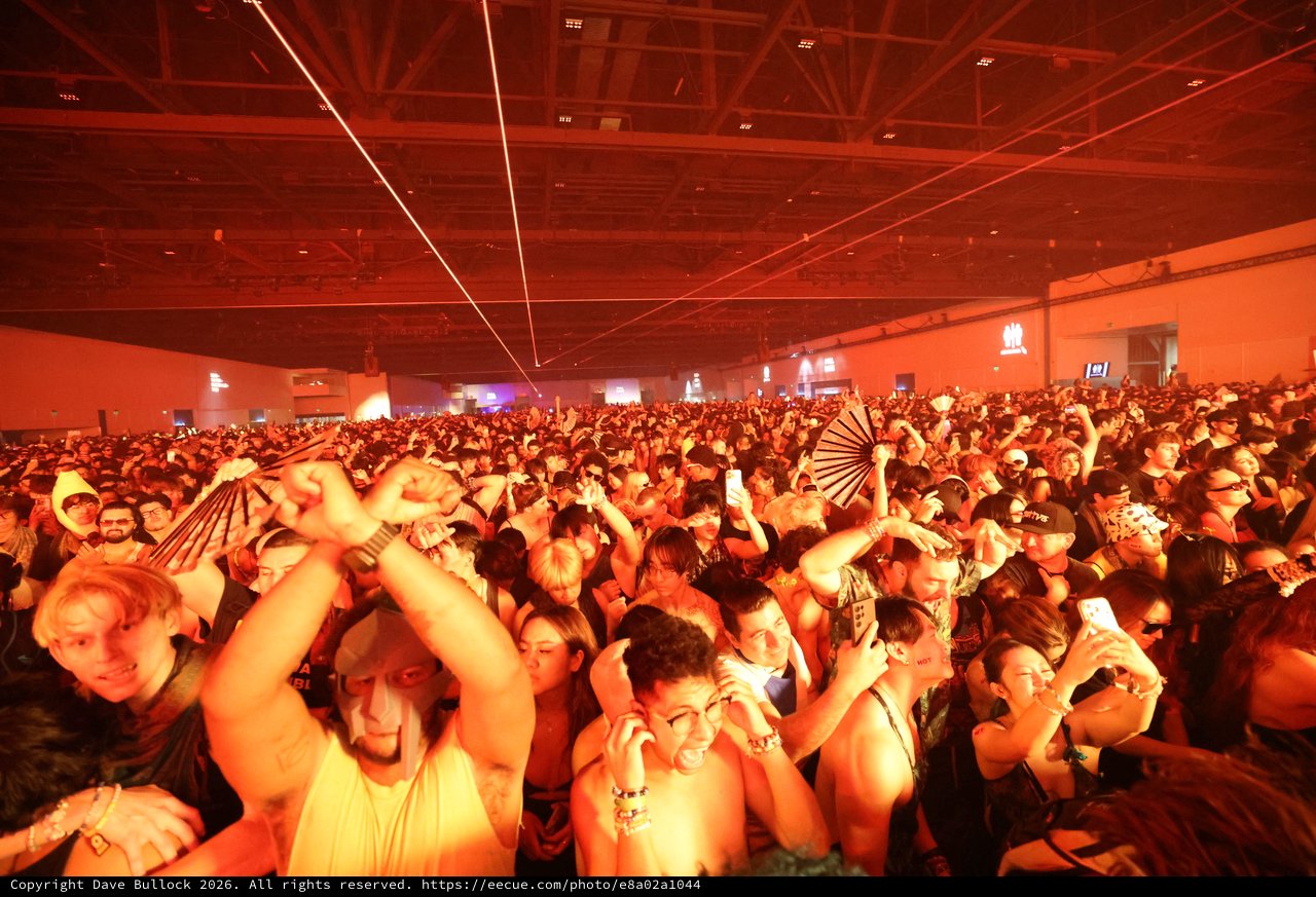 Massive EDM Crowd Electrified Under Red Laser Light