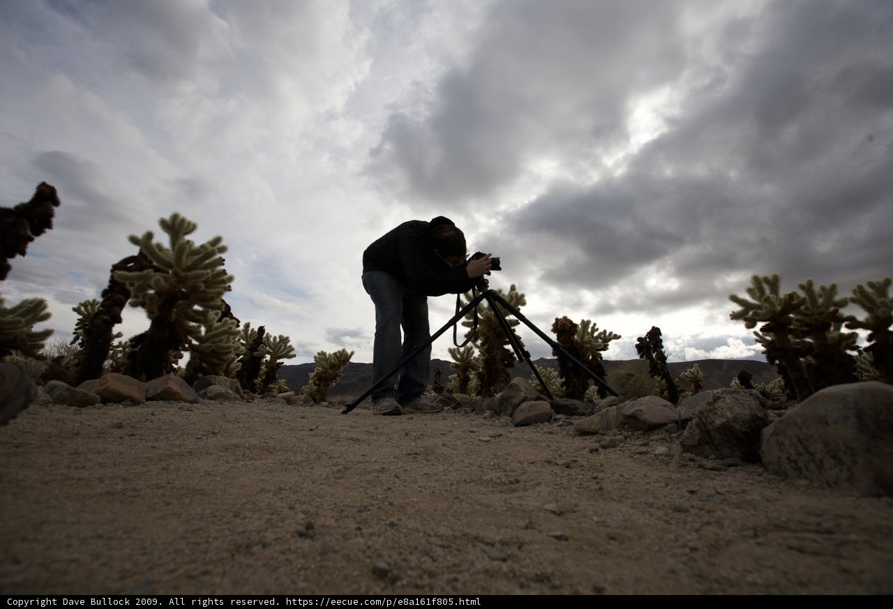 Capturing the beauty of the desert