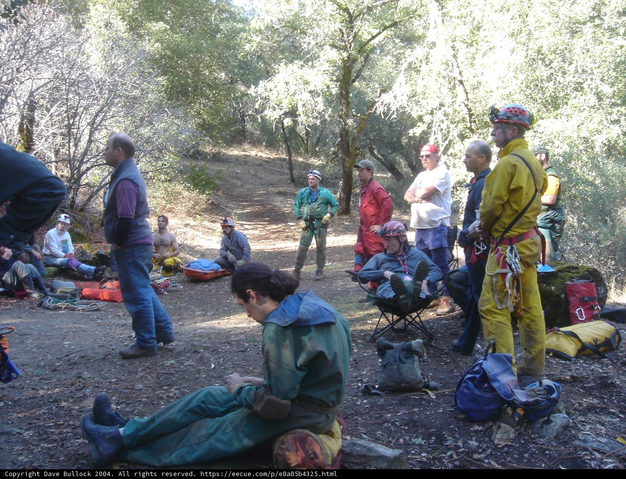 Woodland Picnic with Friends