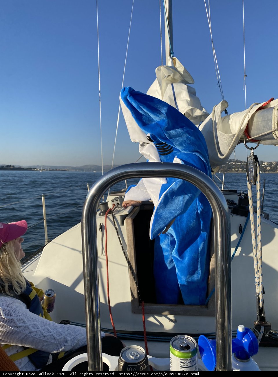 Serenity on the San Francisco Bay
