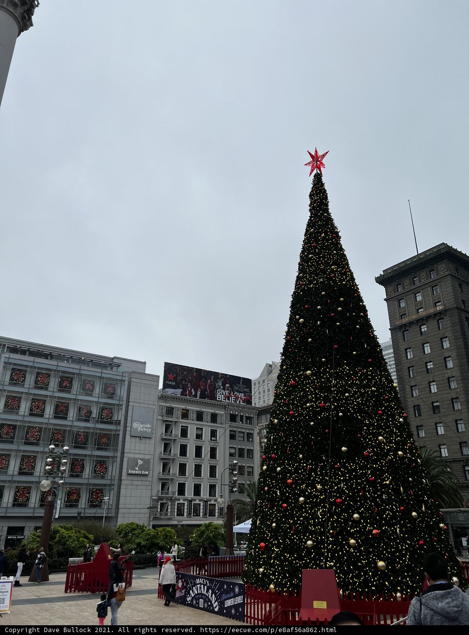 Sparkling Christmas tree in the heart of Union Square