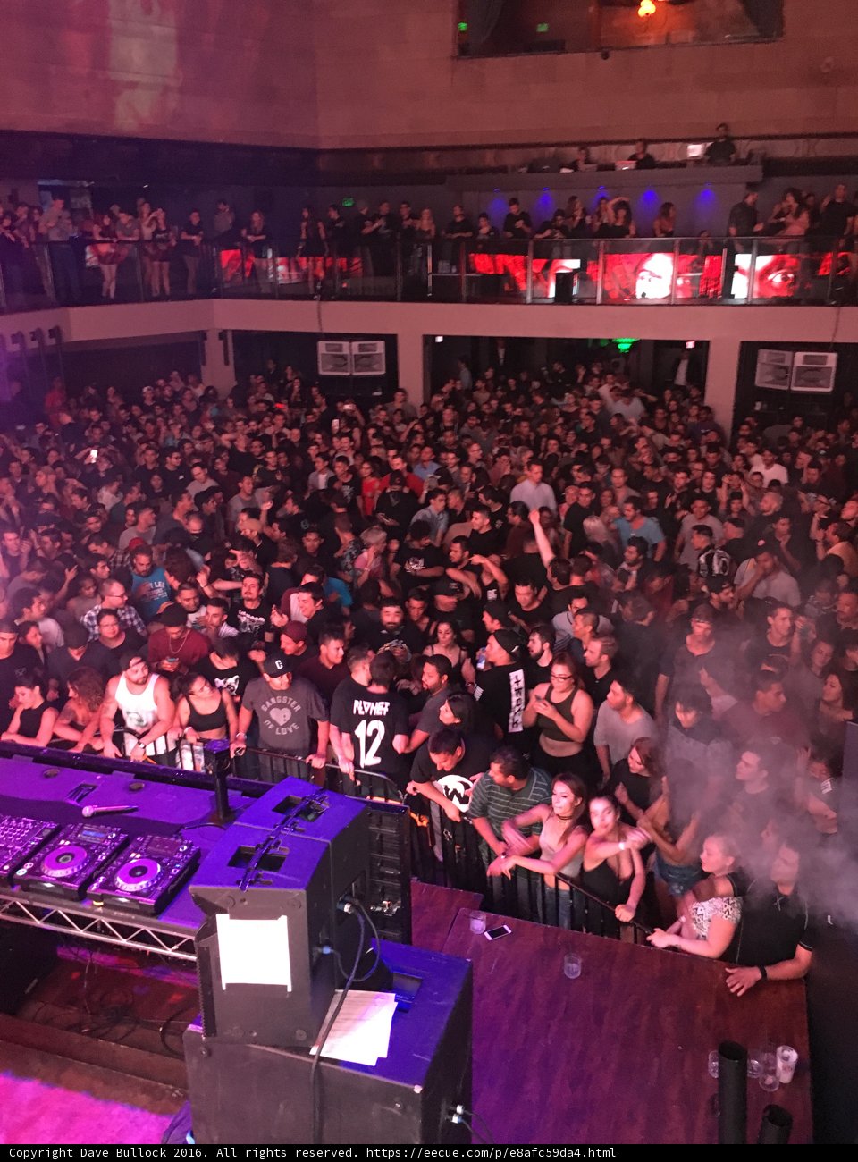Vibrant Concert Crowd