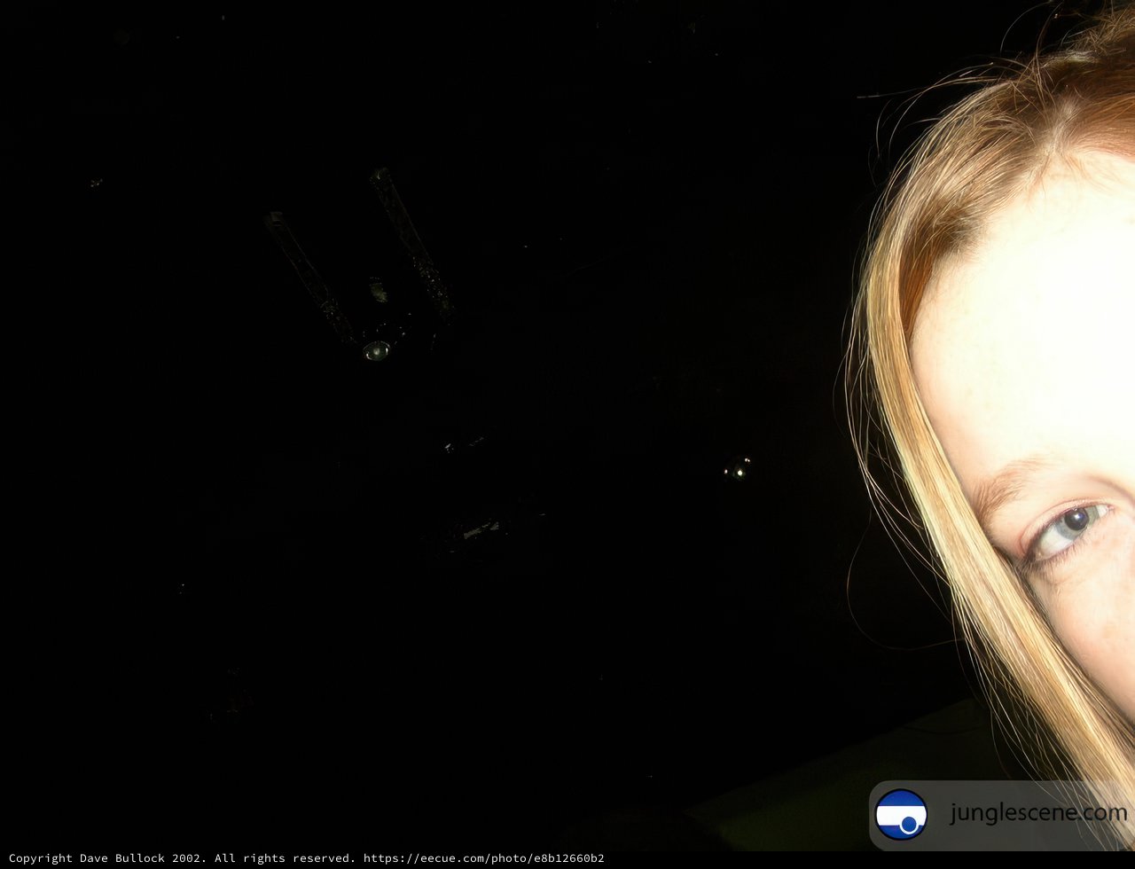 Nighttime Portrait of a Young Girl